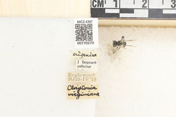 Media type: image;   Entomology 770270 Aspect: Labels